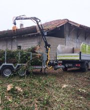 Des Racines à la Cime image 15