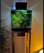 AquaHarmonie Bild 2