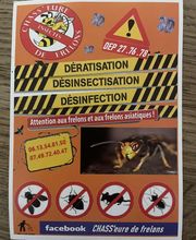 Chass'eure de Frelons anti nuisibles image 8