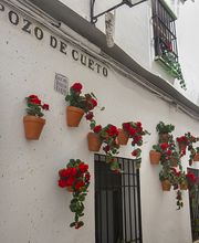 Hotel Boutique | Vitium Córdoba imagen 17
