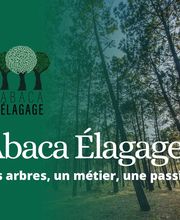 Abaca Elagage image 2