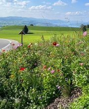 Restaurant Zum Paradies Bild 6