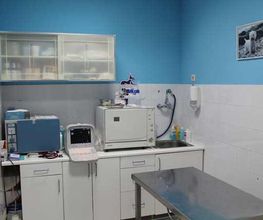 clinica-veterinaria-jayda-observacion-04.jpg