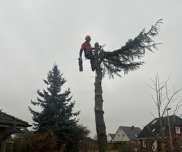 HDS Hausmeisterdienste Falko Stange Bild 3