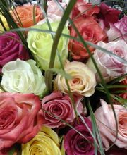 Flowers image 16