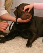 Ergo Therapie Trompeter Bild 5