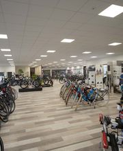 Kollmer Bikes Bild 3