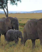 Explorer Reisebüro Nürnberg Bild 4