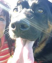 Hunde-Schule Manuela Albrecht - I han en Hund ... ja und?! Bild 10