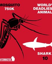 Source Pest Control image 8