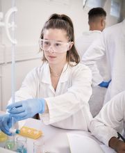 Ecole d'ingénieurs biotechnologies Paris - SupBiotech image 12