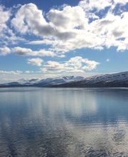 Hypnosetherapie Gerda Hauser Bild 1