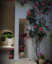 L'ecrin Vert image 3