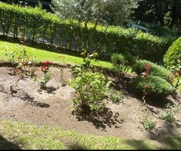 Jardines_La_Sierra_Moralzarzal_Jardineros_Podas_Cesped_Tejados_Canalones_20.jpeg