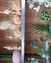 Gartencenter A-Z Velbert GmbH Bild 19