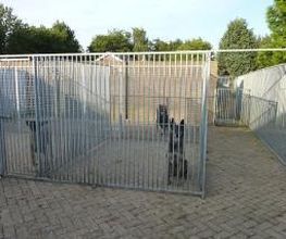 Hondenpension De Wijde Akker