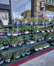 Garden Center Wide Shot