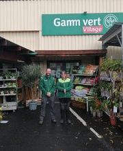 GAMM VERT image 1