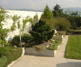 Bünter Gartenegestaltung und Pflege GmbH Bild 3