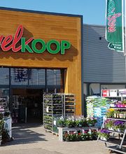 Winsum Welkoop