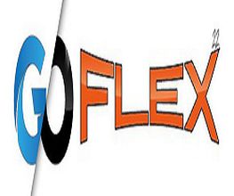 Go Flex 22 image 2