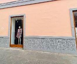 GUESS imagen 1