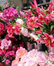 VillaVerde Montargis - Amilly image 2