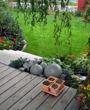 Höfler Heiko Bild 3