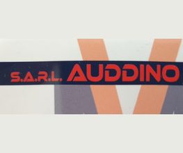 Auddino MV image 2