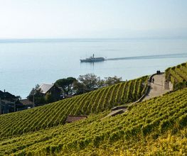 Caveau Ponnaz & Fils Bild 2