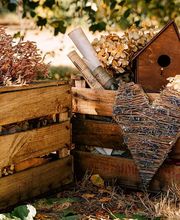 Pan de Plata imagen 1