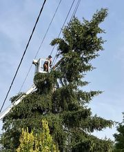 A.D.S Services image 19