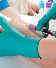 Boissier Sandrine image 7