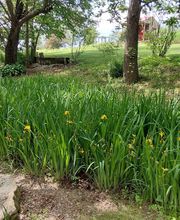 Paradise Park image 13