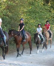 Ecuries De La Millassole image 5