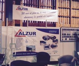 Alzur image 2