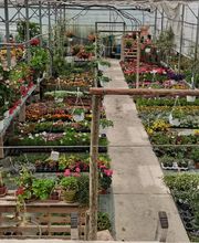 Les Jardins d'Elise Maison Lapierre image 7