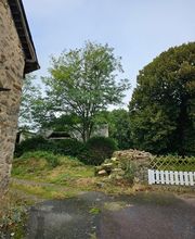 Baum élagage image 3