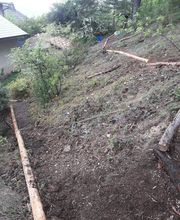 Des Jardins et des Arbres SARL image 1