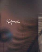 Pompes Funèbres Roux Jérémy image 4