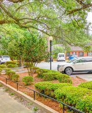 Legacy Village at Plantation Manor image 1