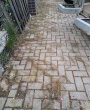 Niewöhner GbR Bild 20