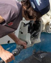 Chantier Naval Des Playes Concessionnaire Suzuki image 16
