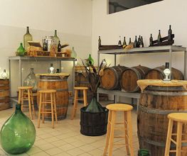 Gallery Cliente