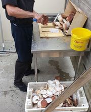 Hotel Saint Aubin image 3