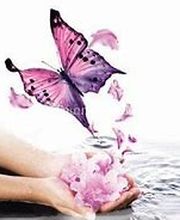 Tellier Séverine image 12