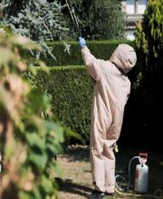 Farago Cantal image 13