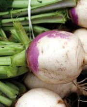 Dreyer AG - Früchte, Gemüse, Tiefkühlprodukte Bild 10