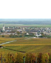 CHAMPAGNE BARNAUT image 3