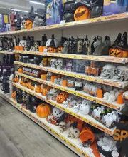 Rofu Kinderland Mutterstadt Bild 10